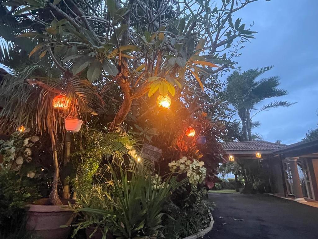 Illovo Beach House アマンジムトティ エクステリア 写真